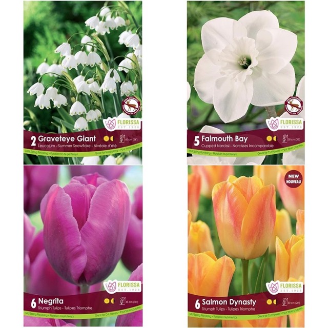Cut Flower Collection